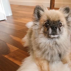 Meet your Posher, Caitlin